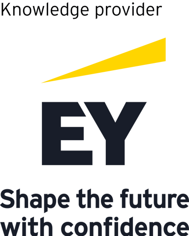 Ernst & Young Associates LLP